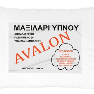 Μαξιλάρι ύπνου μπιλάκι 50 X 70 850γρ 003112011