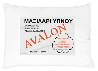 Μαξιλάρι ύπνου μπιλάκι 50 X 70 850γρ 003112011