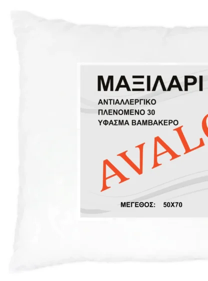 Μαξιλάρι ύπνου μπιλάκι 50 X 70 850γρ 003112011 - Image 2